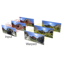 Joint Stabilization and Direction of 360 Degree Videos