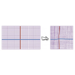 Automatic View Synthesis by Image-Domain-Warping