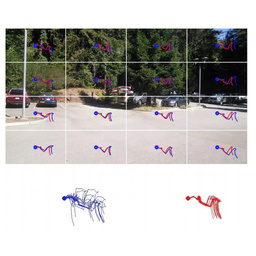 Joint Mobile-Cloud Video Stabilization