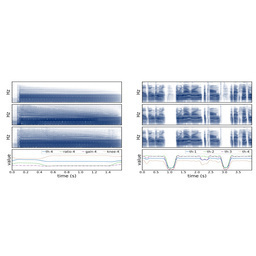 Differentiable Signal Processing With Black-Box Audio Effects