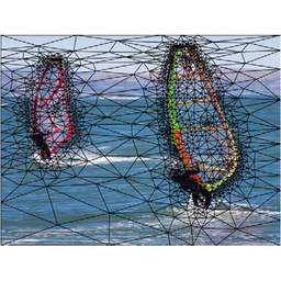 Finite Element Image Warping
