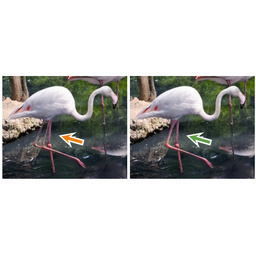 Revisiting Adaptive Convolutions for Video Frame Interpolation