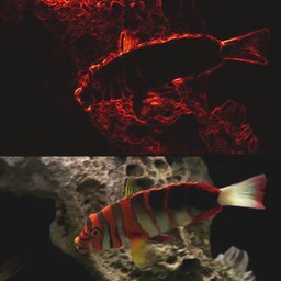 Distinguishing Texture Edges From Object Boundaries in Video